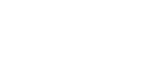 Elisa